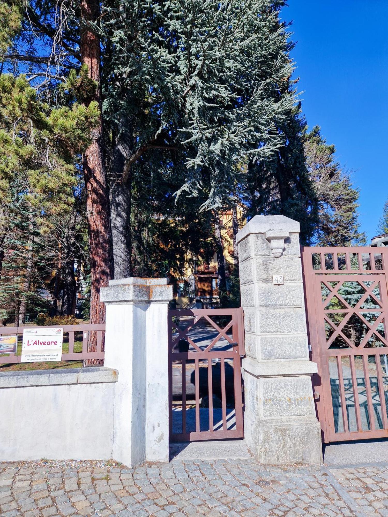 Bardonecchia Studio Apartment - Frejus Palace Exterior foto